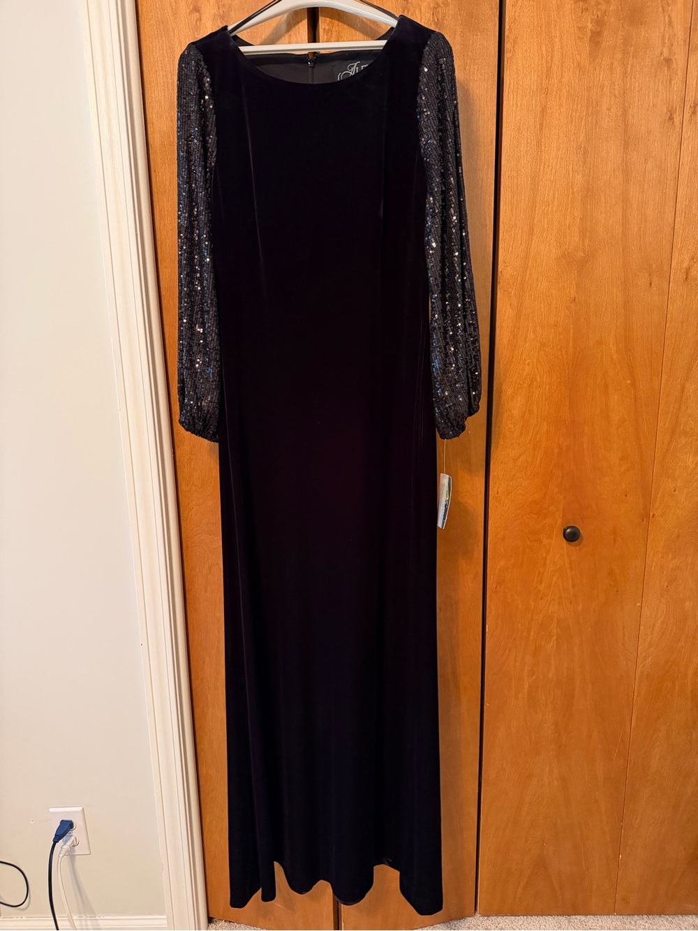 Alex Evenings Black Velvet Gown with Sequined Long Sleeves